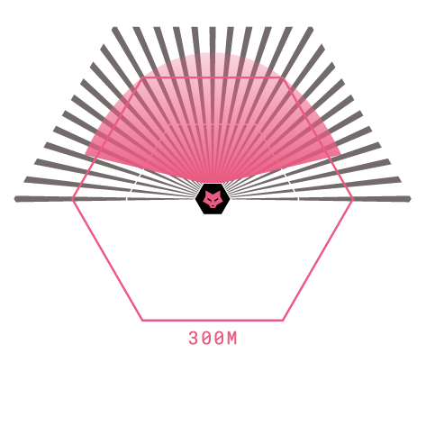 Light Graph