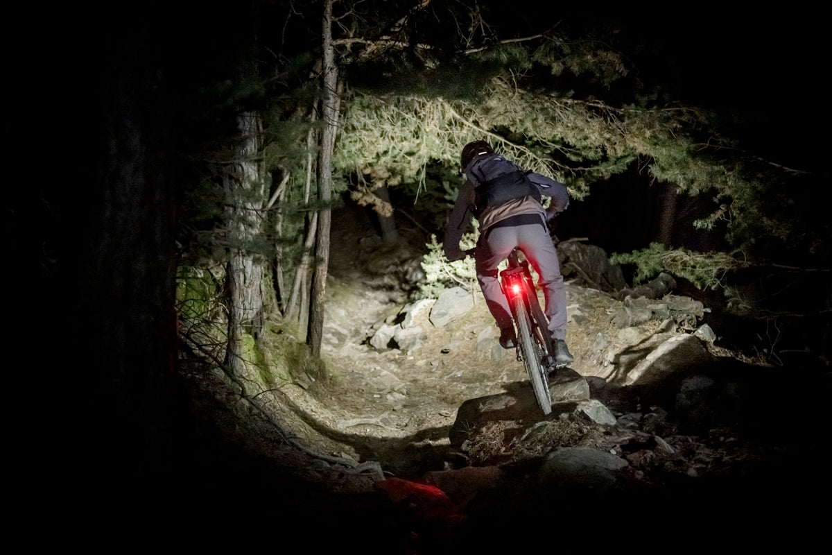 E-Mountainbiker von hinten auf einem nächtlichen Trail, die SL X leuchtet den Weg aus