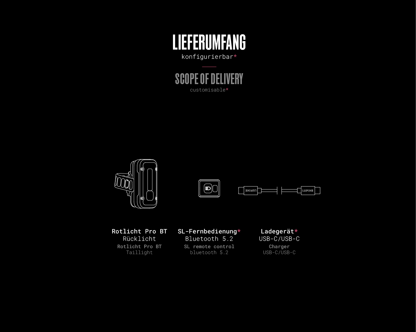 What's in the box – Rotlicht Pro BT (Int): 1× Rotlicht Pro BT Int lamp head, 1× SL Bluetooth remote control (configurable), 1× Charging cable (configurable).